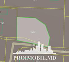 Spre vânzare se oferă teren pentru construcții, situat în Sângera, ...