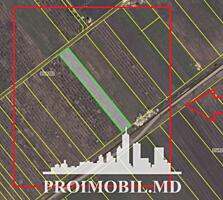 S pre vânzare se oferă teren agricol, situat în Colonița. Suprafața ..