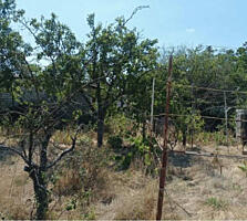 В продаже участок площадью 6 сотки. На участке домик использовался ...