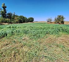 В продаже участок 11 соток в селе Молодёжное. Участок правильной ...