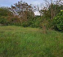 Участок 47 соток с выходом к лиману, Сухой Лиман