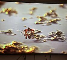 Очень срочно сакура 65 лед 4К smart