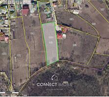 Str. Ștefan Neaga, Sângera, Chișinău