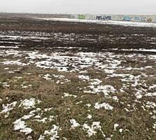 Продам участок правильной формы в с.Великий Дальник  общая площадь ...