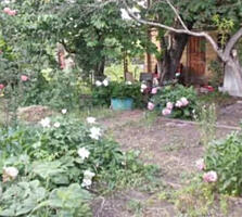 Участок 5,3 сотки в с. Нерубайское.