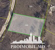 Spre vânzare se oferă teren agricol, situat în Trușeni, I.P. ...