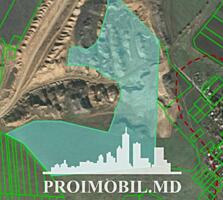 Spre vânzare se oferă teren agricol, situat în Anenii Noi, sat. ...