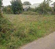 Продажа участка в с. Холодная Балка