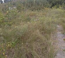 Предлагается к продаже земельный участок общей площадью 7 соток у ...