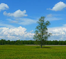 Предлагается к продаже участок в Фонтанке. Отличный вариант для ...