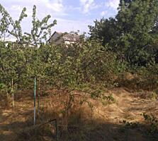 Продам 10 соток , Черноморка/Червоный хутор