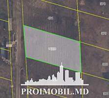 Spre vânzare se oferă teren pomicol, situat în r. Criuleni, sat. ...