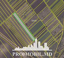 S pre vânzare se oferă teren agricol, situat în Colonița. Suprafața ..