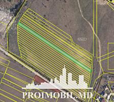 Spre vânzare se oferă teren agricol, situatîn r. Criuleni, sat. ...