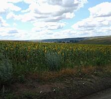 Паевая земля, Одесская обл.