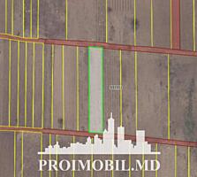 Spre vânzare se oferă teren pentru construcții, situat în Băcioi, ...