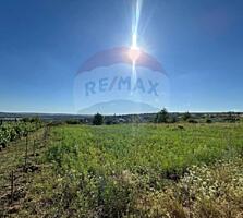 Teren de vânzare 10 ari Sângera (Floreni)