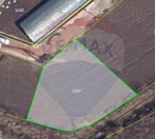 Teren pentru construcții Măgdăcești, Criuleni