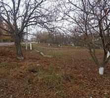 Продажа участка в с. Нерубайском