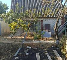 Предлагается к продаже дача  в  с. Светлом. Общая площадь 45 ...