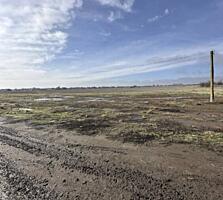 В продаже участок в Дачненском сельсовете. Площадь участка 1,4 га. ...