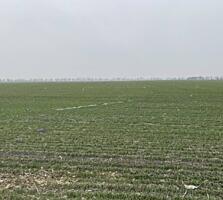 В продаже участок 1,4 га (140 соток) расположенный территориально в ..