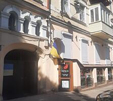 Исторический центр Успенская/Пушкинская 3-комнатная