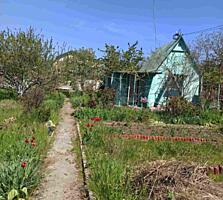 Продам летнюю дачу в пригороде Одессы , Малая Долина , кооп " Зар