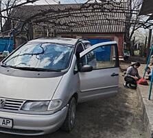 Продам Шаран