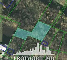 Spre vînzare se oferă teren pentru construcții, situat însat. ...