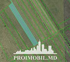 Spre vânzare se oferă teren agricol, situat în com. Budești. ...