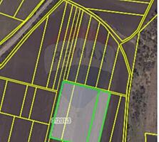 Lot agricol Budești, Mun. Chișinău