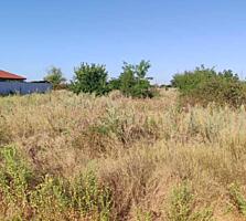 В продаже участок под строительство жилого дома. Правильной формы ...