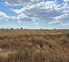 В продаже земельный участок правильной формы в Сухом Лимане. 8,15 ...