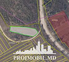 S pre vânzare se oferă teren cu destinație agricolă, situat în ...