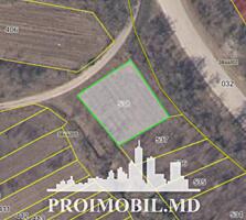 S pre vânzare se oferă teren cu destinație agricolă, situat în ...