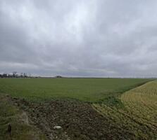 В продаже большой участок 2,135 га, расположенный недалеко от ...