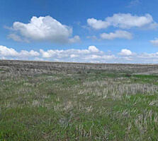 Предлагается к продаже участок в Новой Дофиновке. Площадь 8 соток без 