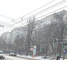 Рышкановка Богдан Воевод