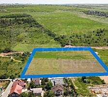 Vânzare, teren agricol, 63.6 ari, Ialoveni