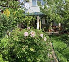 Предлагается к продаже двухэтажный дом общей площадью 130 кв. метров .