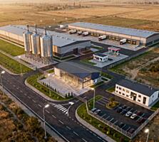 Teren agricol 190 ari, amplasat la traseul Ialoveni Băcioi