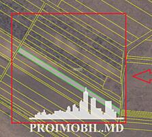 S pre vânzare se oferă teren agricol, situat în Criuleni, sat. ...
