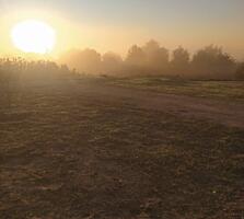 Уникальное предложение!