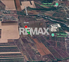 Teren agricol 54 ari Piatra Albă-Brăila, Ialoveni