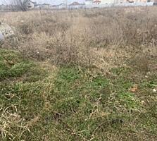 Земельный участок расположен : село Дачное, Беляевского района. Право 