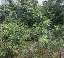 Продаётся уютная зимняя дача в Черноморке