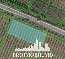 Spre vânzare se oferă teren agricol, situat în Criuleni, com. ...