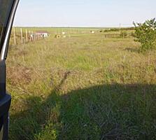 В продаже участок в в Светлом на Кулиндоровских дачах. Участок ...