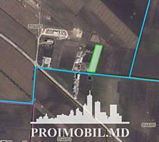 Spre vânzare se oferă teren pentru construcții, situat în Stăuceni pe 